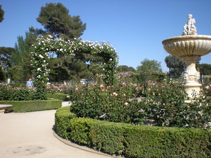 Original image